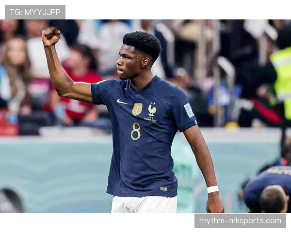 罗德里与楚阿梅尼:防守型后腰的战术角色及比赛影响力对比